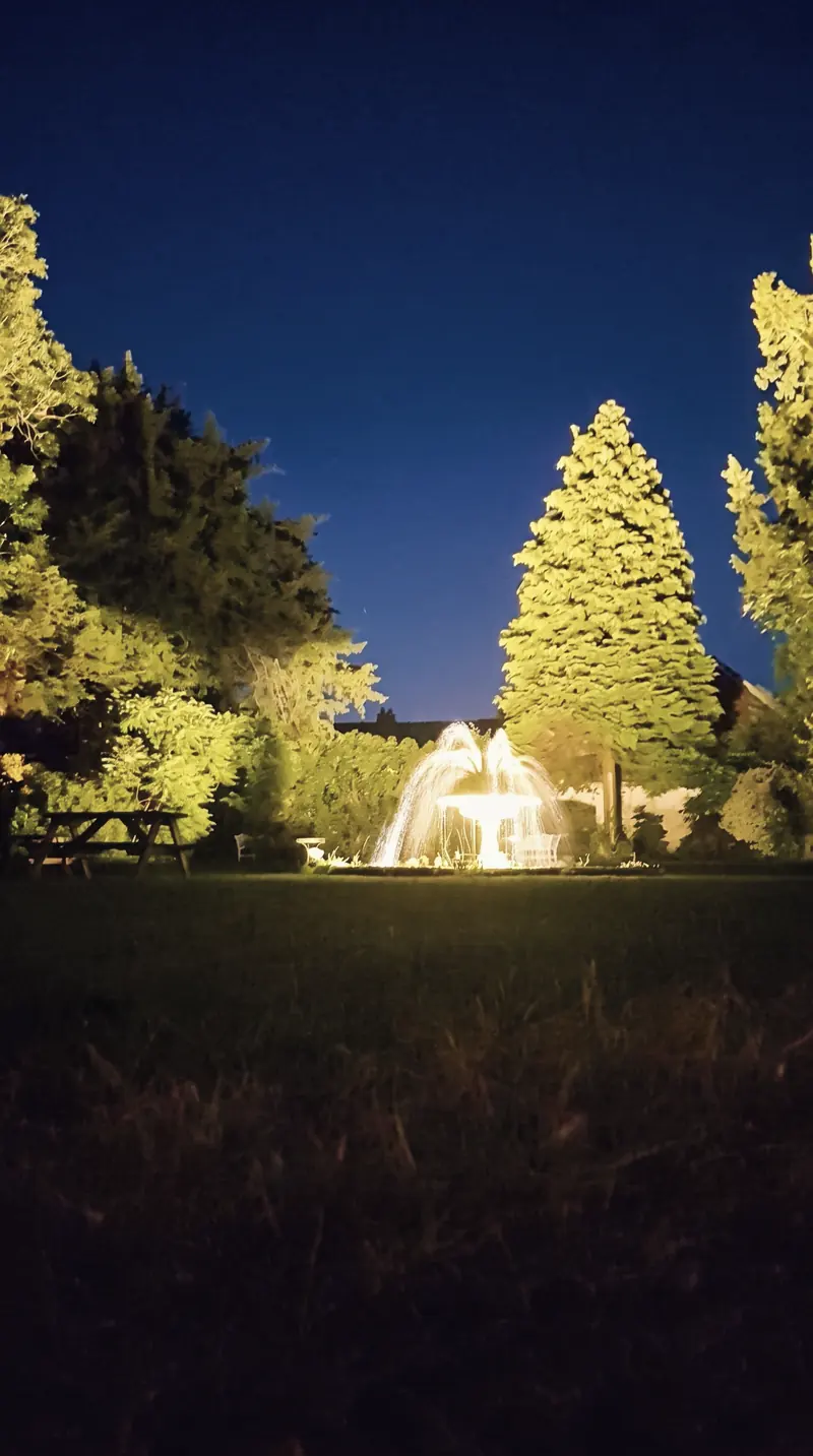 Garden trees and the fountain lit up after dark